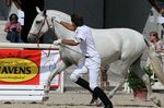 Olfatica (Fandango x Honrada) geb. 1995