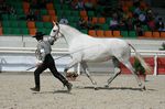 Valsa (Importante x Pandeireta) geb. 2002