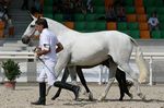 Olfatica (Fandango x Honrada) geb. 1995