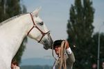 Valsa (Importante x Pandeireta) geb. 2002