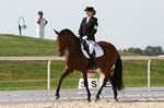 V-Ofelia Chanceli&egrave;re (Priam x Indomita) geb. 2002
