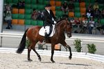V-Ofelia Chanceli&egrave;re (Priam x Indomita) geb. 2002