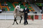 Derrote (Peralta Pinha x Uiba das Lezirias) geb. 2008