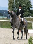 Carpote Lakeland (Prateado x Mexida) geb. 2007