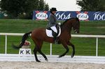 Vivaldi XX geb. 2002