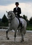 Xilef (Universo x Realeza) geb. 2003