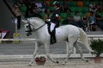 Xarlot (Universo x Jangada) geb. 2003