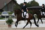 Bojador (Jocoso x Jaquema) geb. 2006