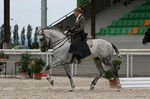 X&agrave; (Nobre x Mistica) geb. 2002