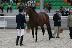 Bojador (Jocoso x Jaquema) geb. 2006
