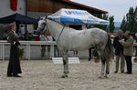 X&agrave; (Nobre x Mistica) geb. 2002