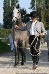 Evita Lakeland (Zamorano x Janota) geb. 2009