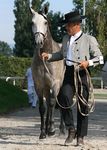 Evita Lakeland (Zamorano x Janota) geb. 2009