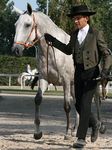 Evora da Lusitania (Rouxinol x Alhambra Lusitania) geb. 2009
